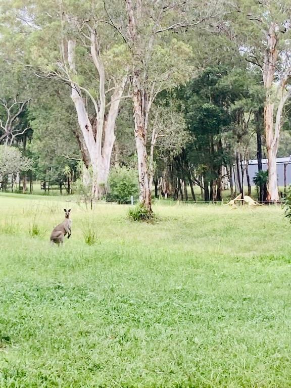 Holiday home Coastal Bush Gateway Nr South West Rock