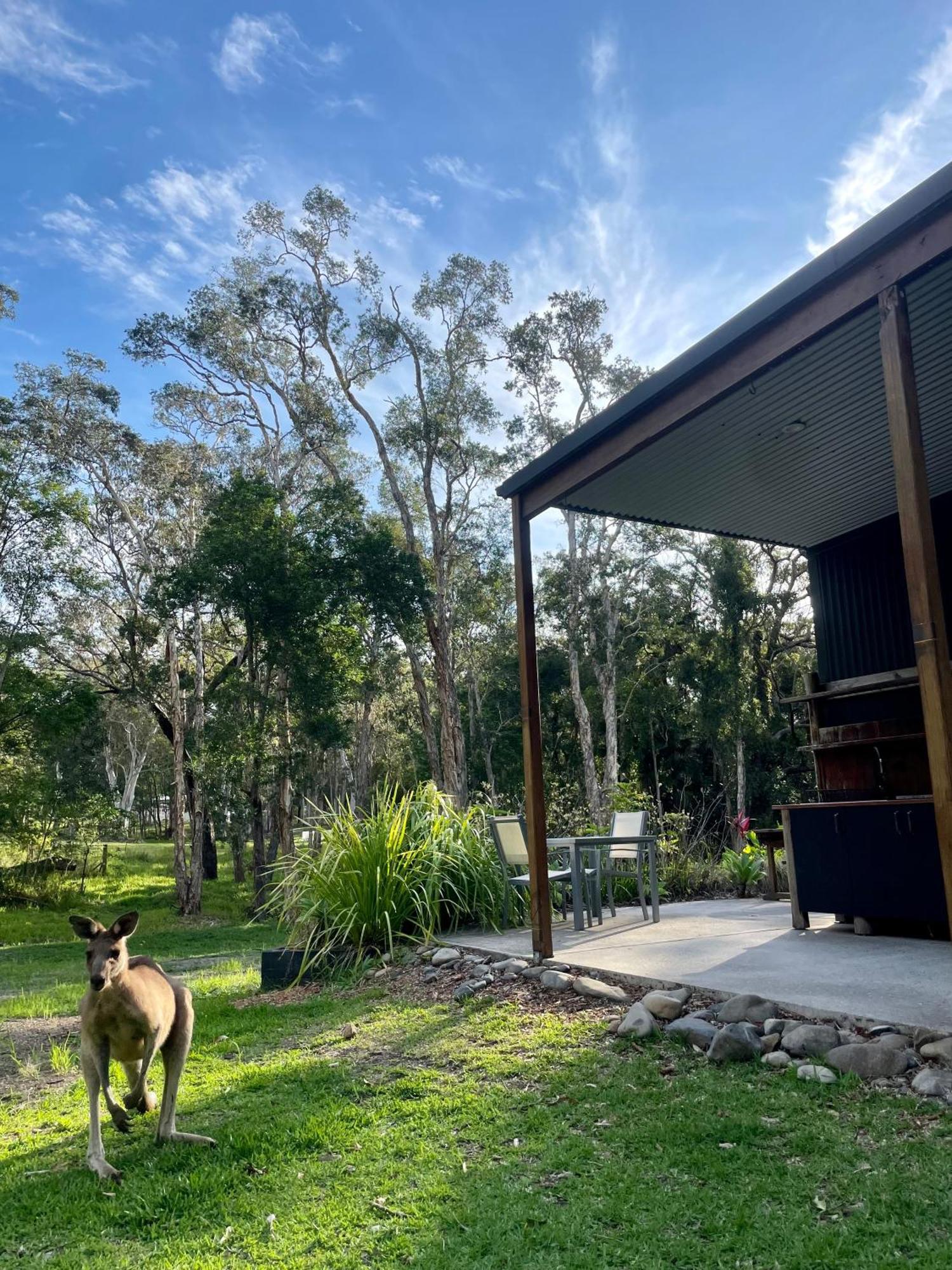 Coastal Bush Gateway Nr South West Rock Holiday home *